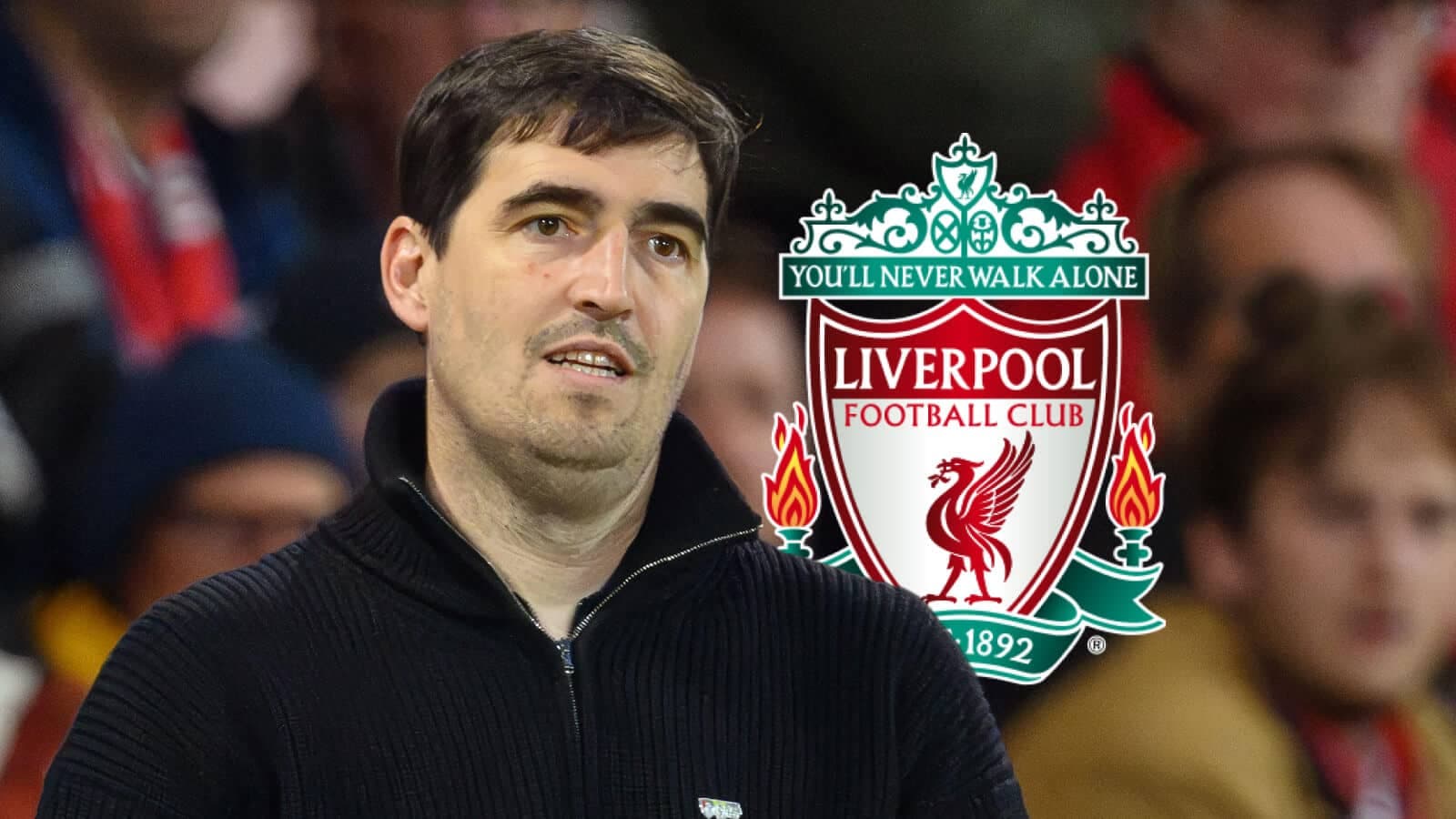 Persona observando un partido de Liverpool FC Persona observando un partido de Liverpool FC